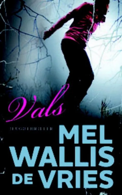 Omslag van Vals